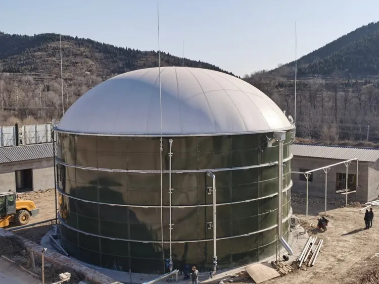 Biogas Digester Waste Treatment Plants Industrial CSTR for Cattle Farm Cow Manure Plant Bio Gas — image 1