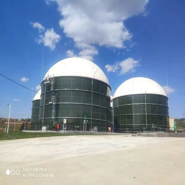Biogas Digester Waste Treatment Plants Industrial CSTR for Cattle Farm Cow Manure Plant Bio Gas — image 2