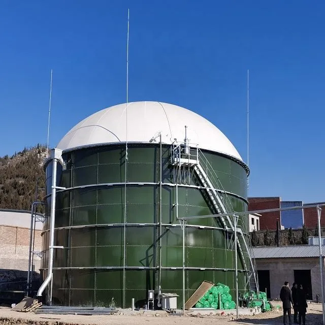 Biogas Digester Waste Treatment Plants Industrial CSTR for Cattle Farm Cow Manure Plant Bio Gas — image 3