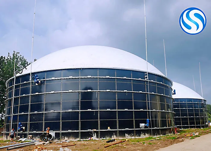 Biogas Digester Waste Treatment Plants Industrial CSTR for Cattle Farm Cow Manure Plant Bio Gas — image 6