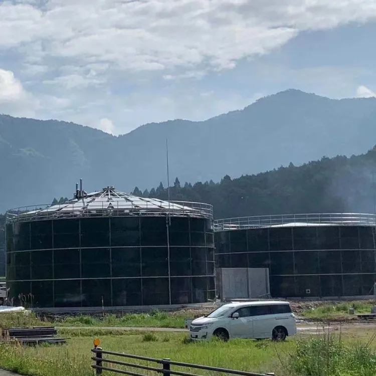 High Technology of Anaerobic Biogas Digester for Food Waste Plant — image 4