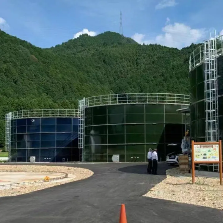 High Technology of Anaerobic Biogas Digester for Food Waste Plant — image 5