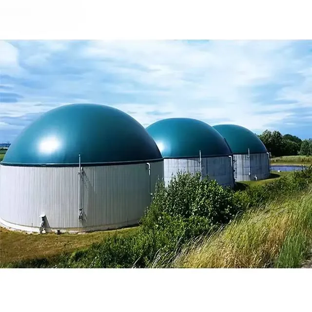 NUOVISTA Low Cost Small Scale Anaerobic Digestion Process Dairy Food-Waste Digester Biogas Plant Machine System With Chp — image 4