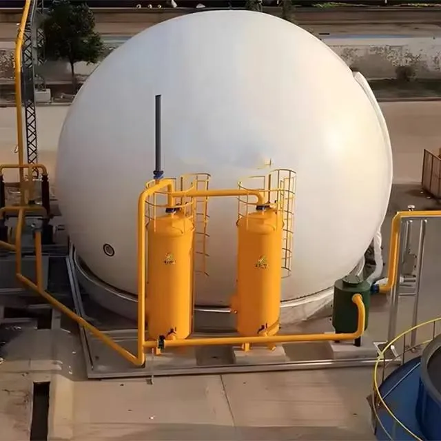 NUOVISTA Low Cost Small Scale Anaerobic Digestion Process Dairy Food-Waste Digester Biogas Plant Machine System With Chp — image 5