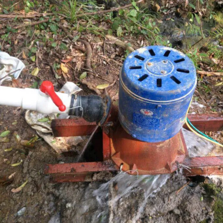 1Kw - 30Kw Micro Water Turbine Hydraulic Turbine River Hydro Generator — image 3