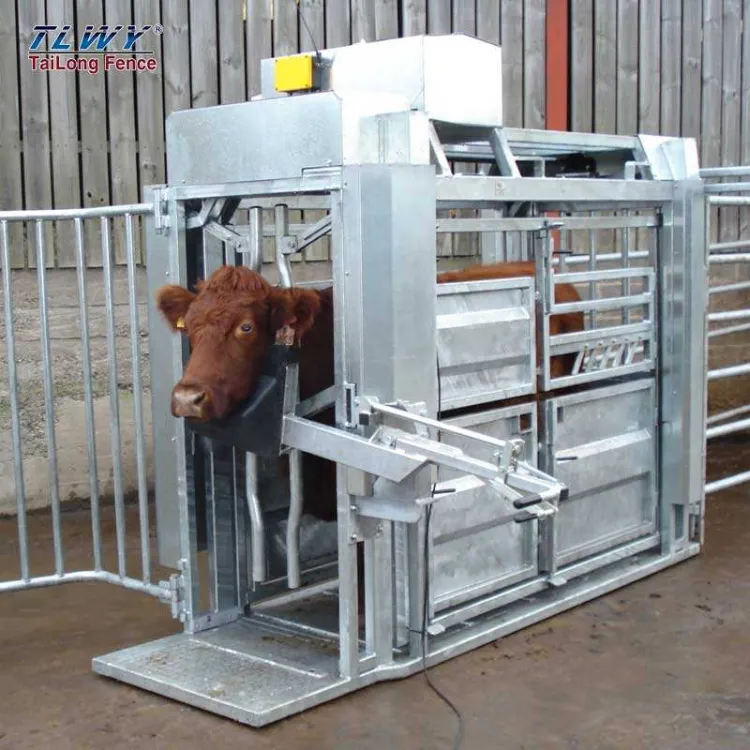 Portable Mobile Cow Cattle Chute with Digital Scale Safe Operation Hoof Trimming Cattle Crush Hydraulic Squeeze Chute for Farm — image 6
