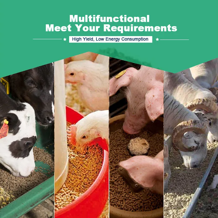CE Approved Small Poultry Cattle Farm Use Pelletizing Processing Plant Equipment Feed Pellet Machine Line — image 5