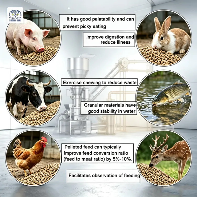1-15t/h Fully Automatic Animal Feed Pellet Production Line Complete Poultry Feed Mill Plant for Chicken Pig Cattle Sheep — image 3