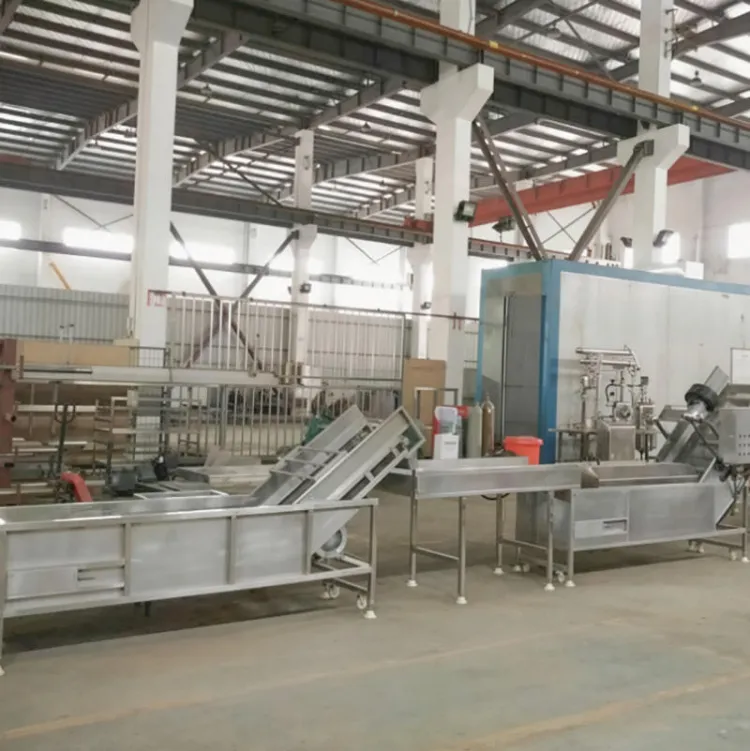Full Automatic 300kg/H Tomato Paste Processing Machine Small Ketchup Production Line Tomato Sauce Machine — image 3