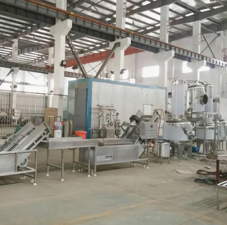 Full Automatic 300kg/H Tomato Paste Processing Machine Small Ketchup Production Line Tomato Sauce Machine — image 4