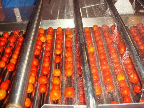 Fruit Jam Production Line / apple & Tomato Paste Processing Line — image 4