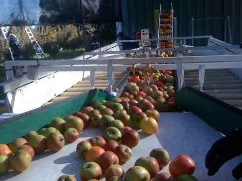 Fruit Jam Production Line / apple & Tomato Paste Processing Line — image 5