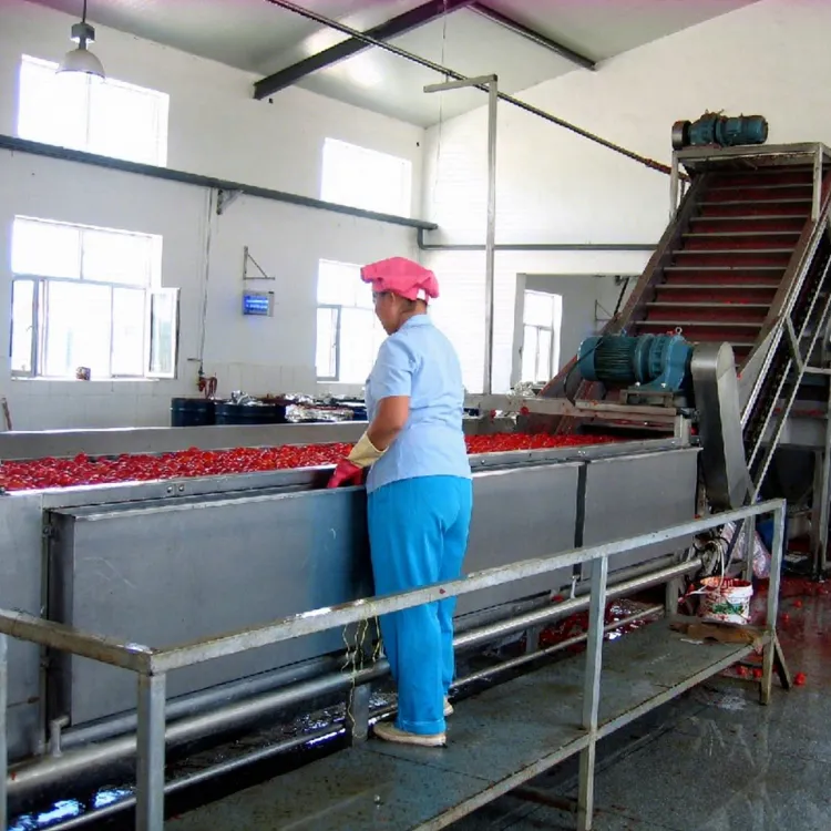 Tomato Mango Paste Puree Pulp Juice Sauce Ketchup Jam Making Machine Production Line — image 1