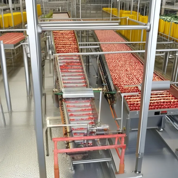 Tomato Juice Paste Production Machine Complete Processing Line — image 2