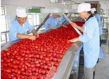 Fruit Jam Production Line / apple & Tomato Paste Processing Line — image 6