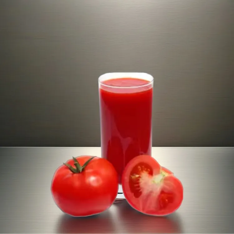 Tomato Juice Paste Production Machine Complete Processing Line — image 4
