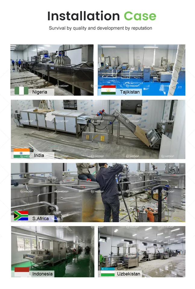 Automatic Cassava Processing Line for Flour and Grain Products Stainless Steel High Capacity 500-3000kg/h — image 4