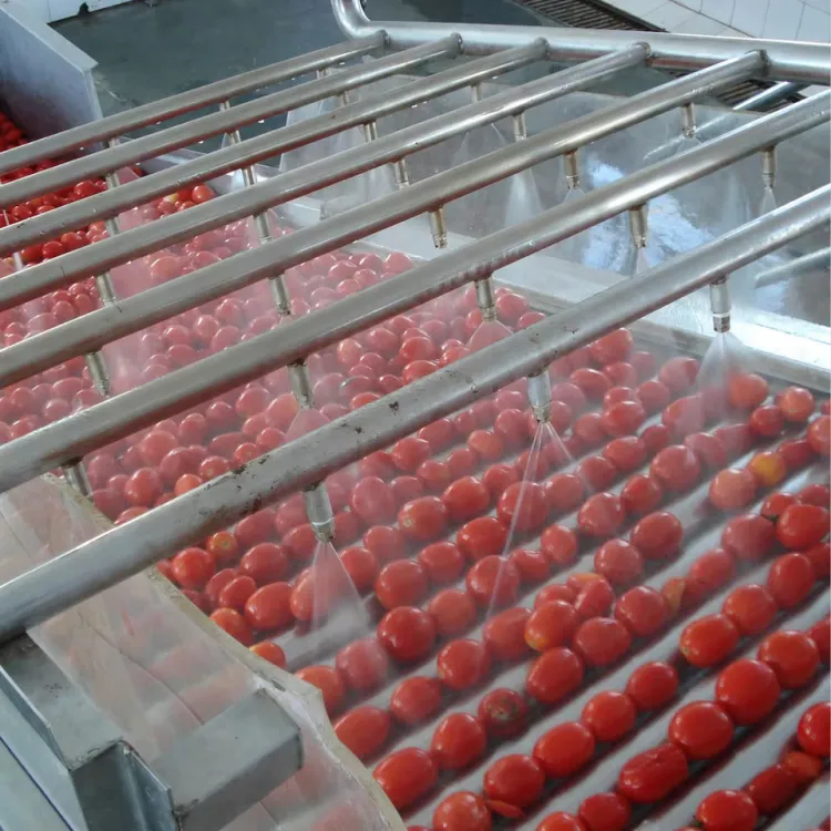 Tomato Puree Pulp Juice Sauce Ketchup Tomato Paste Making Machine Production Line — image 5