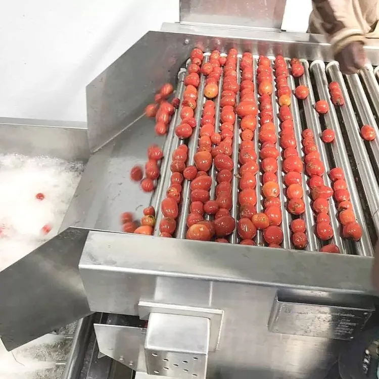 Tomato Paste Processing Line Production Plant Equipment — image 4