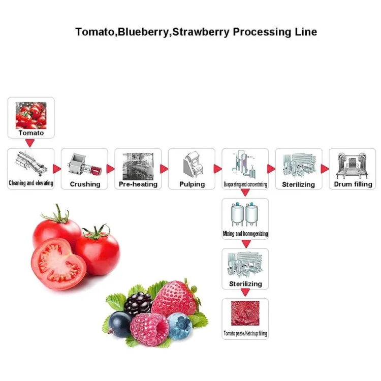 Tomato Paste Processing Line Production Plant Equipment — image 6