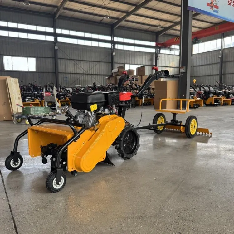 Manufactured Small Gasoline Rotary Tiller with Motor and Bearing for Gardens — image 2