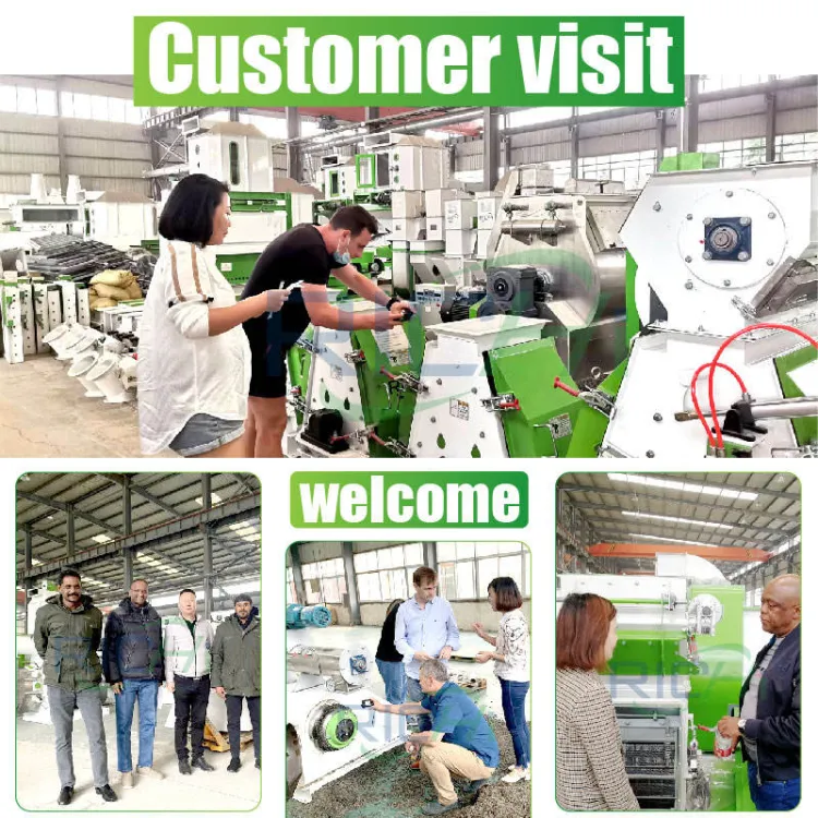 Large Capacity Vertical Animal Cow Poultry Chicken Farm Feed Pellet Making Machinery Plant for — image 3