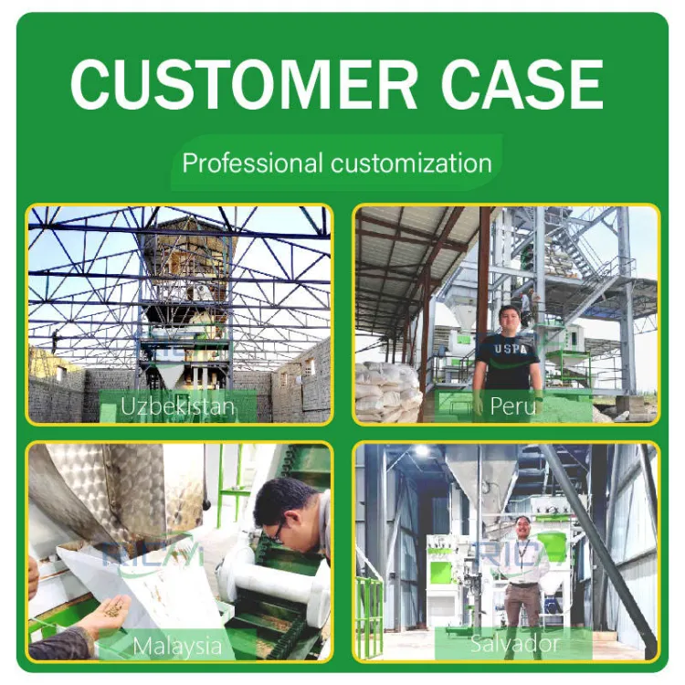 Large Capacity Vertical Animal Cow Poultry Chicken Farm Feed Pellet Making Machinery Plant for — image 4
