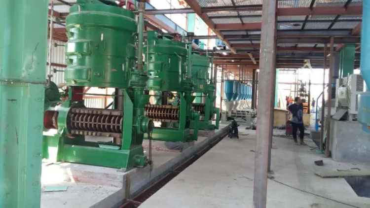200A-3 Automatic Sunflower Peanut Oil Press 10 Tons Screw Oil Expeller for Vegetable Oil Plant Machine — image 7