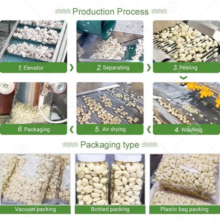 Complete Chain Driven Weifang Fully Automatic Garlic Clove Product Line Peel Machine Product Line Process Plant — image 4