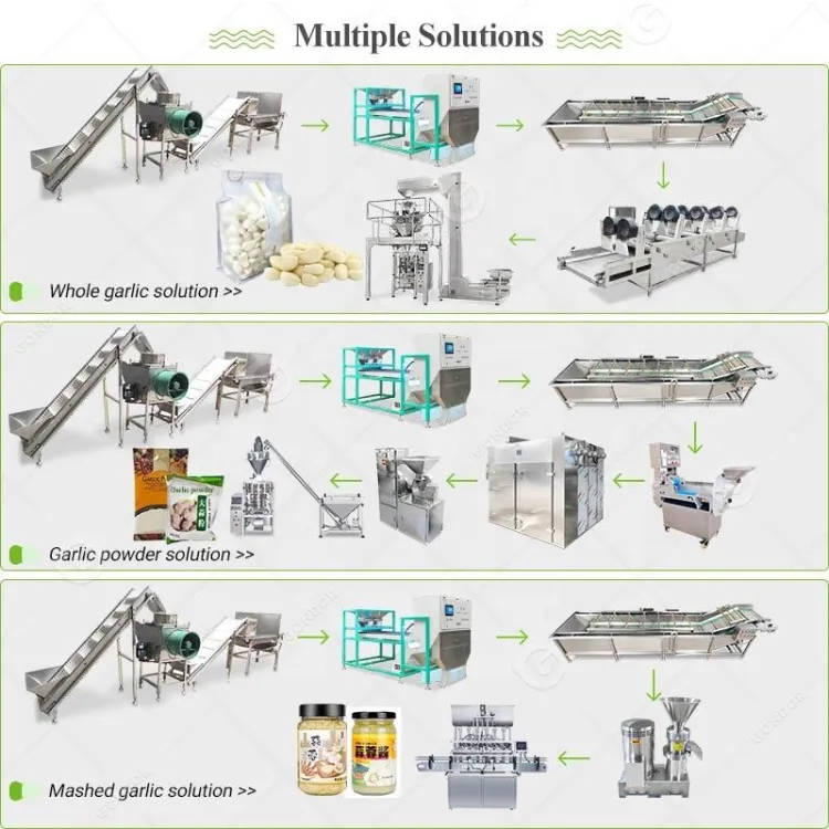 Complete Chain Driven Weifang Fully Automatic Garlic Clove Product Line Peel Machine Product Line Process Plant — image 5