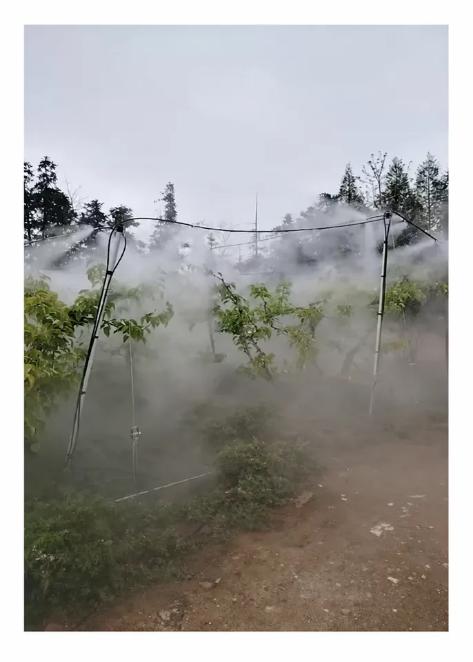 Supply High Pressure Agricultural Pesticide Spraying Machine Farm Sprayer for Orchard Greenhouse Pest Control — image 6