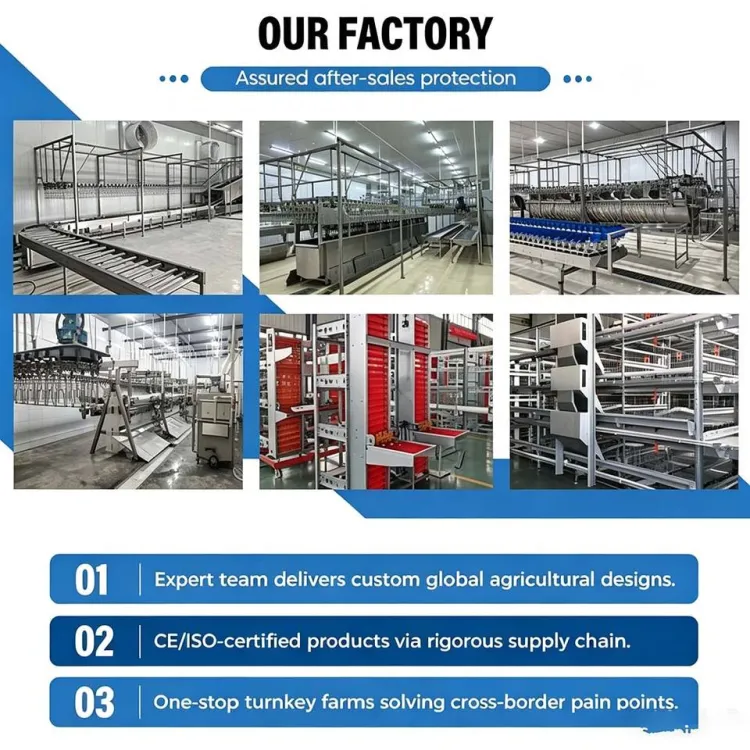 Integrated Full Auto Poultry Slaughter Processing Line SUS304 Equipment for Chicken Duck Goose Abattoir Deposit Only — image 4