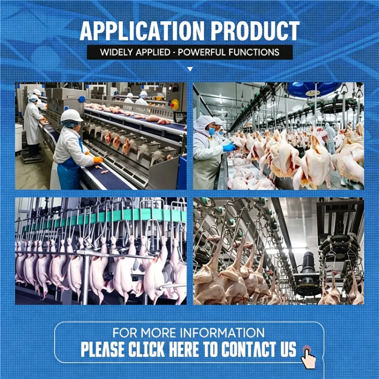 Integrated Full Auto Poultry Slaughter Processing Line SUS304 Equipment for Chicken Duck Goose Abattoir Deposit Only — image 6