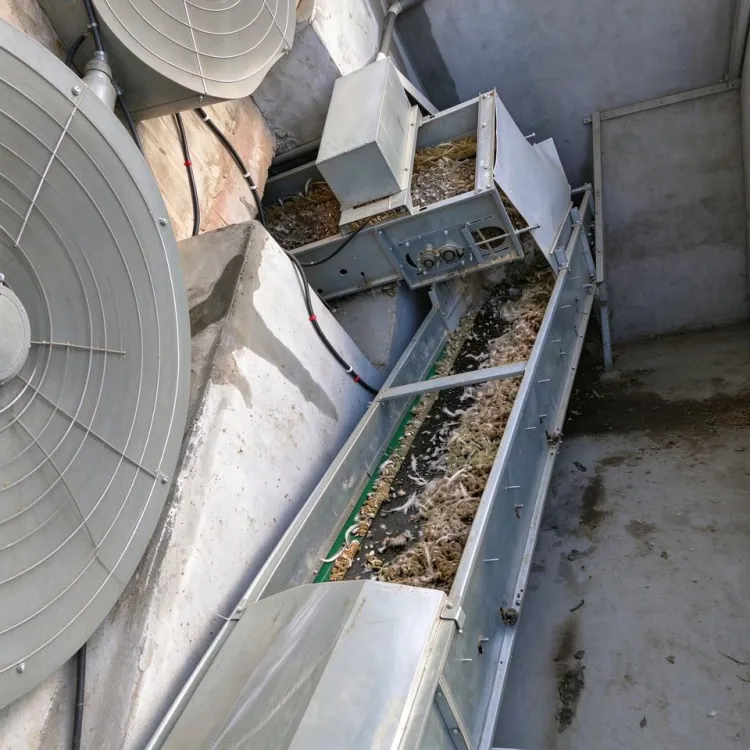 Manure Belt Removal System Poultry Livestock Waste Conveyor for Chicken — image 5