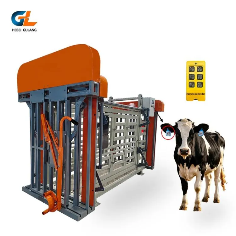Heavy Duty Powder Coated Pneumatic Cattle Crush with Remote Control for Commercial Farm Livestock Handling Veterinary Care — image 5