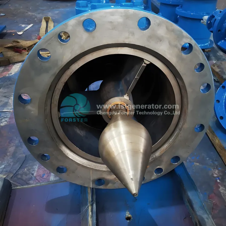 Forster Turgo Turbine Hydro Generator 30kW Small Hydropower System High Efficiency Micro Hydro Power 380V/220V Stainless Steel — image 3