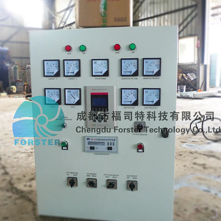 Forster Turgo Turbine Hydro Generator 30kW Small Hydropower System High Efficiency Micro Hydro Power 380V/220V Stainless Steel — image 4