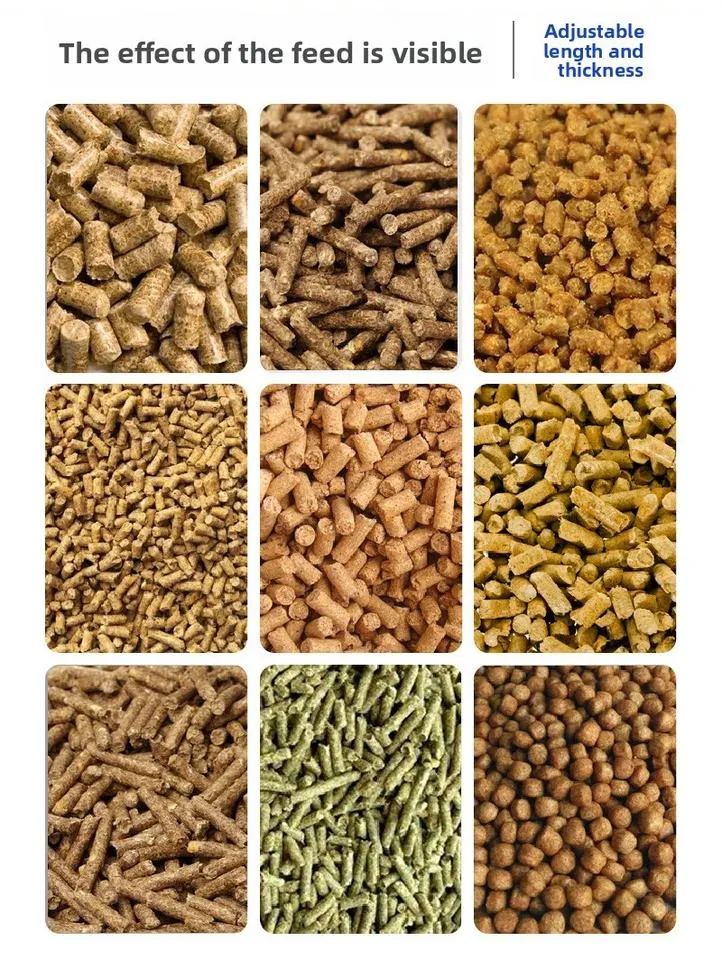 300kg/hour Electric Motor-Driven Feed Pellet Machine with 4-6mm Pellet Size Easy to Operate for Small-scale Farmers — image 4
