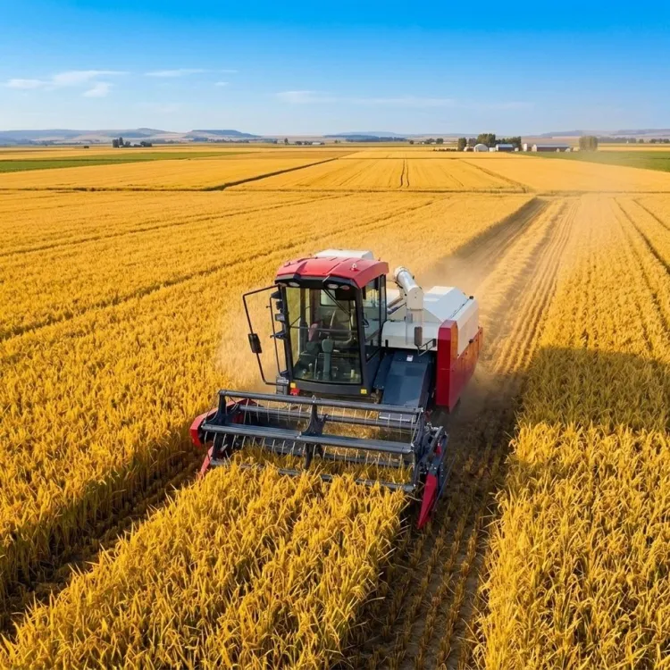 Wishope High Productivity Grain Harvester 5670*2560*2950mm Rubber Crawler Rice Full-Feed Harvesters with Cab — image 5