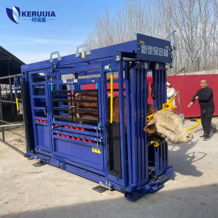 Portable Cattle Crush Heavy Duty Veterinary Restraint Tool for Livestock Farm Cattle Management — image 4