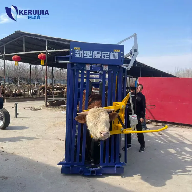 Portable Cattle Crush Heavy Duty Veterinary Restraint Tool for Livestock Farm Cattle Management — image 6