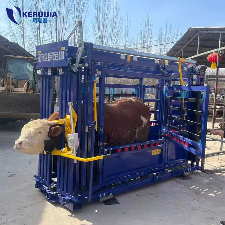 Portable Cattle Crush Heavy Duty Veterinary Restraint Tool for Livestock Farm Cattle Management — image 7