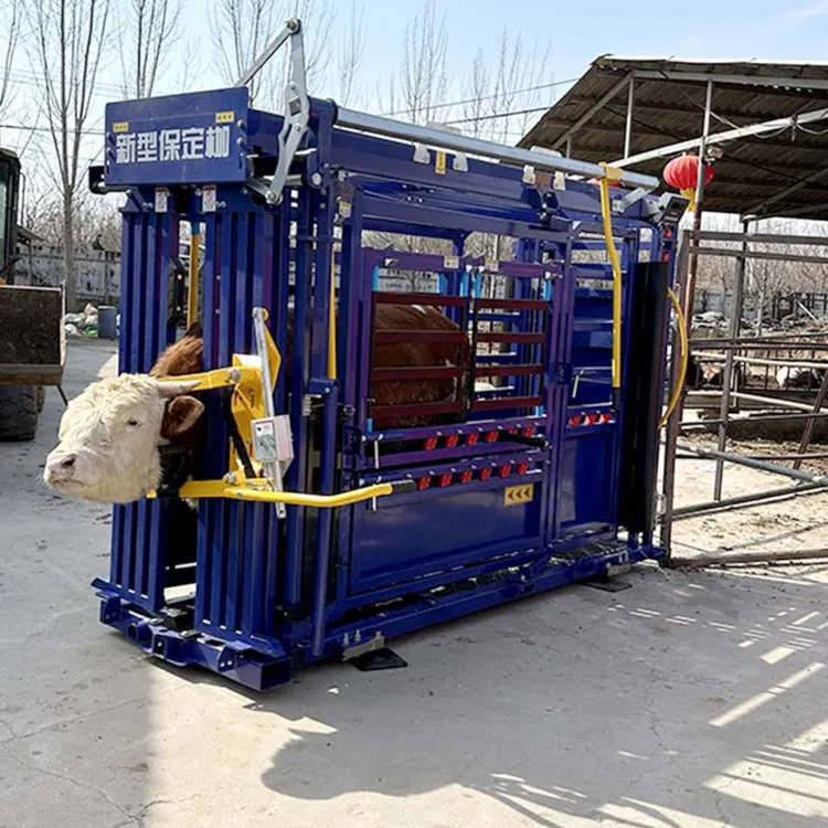 Automatic Manual Cow Crush Cattle Squeeze Chute Livestock with Scales Steel and Metal Farm Equipment for Cattle — image 2