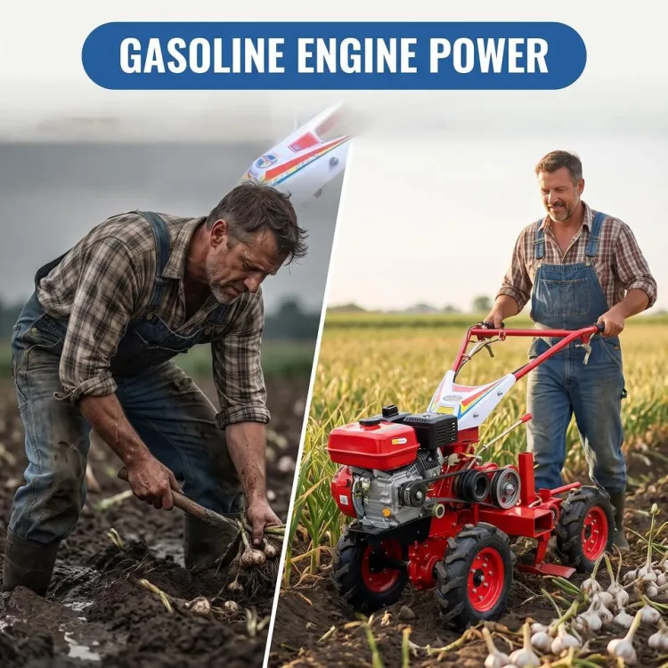 Agricultural 4 Rows Garlic Harvester Walk-behind Gasoline Motor Labor-saving High Productivity Garlic Harvest Equipment — image 3