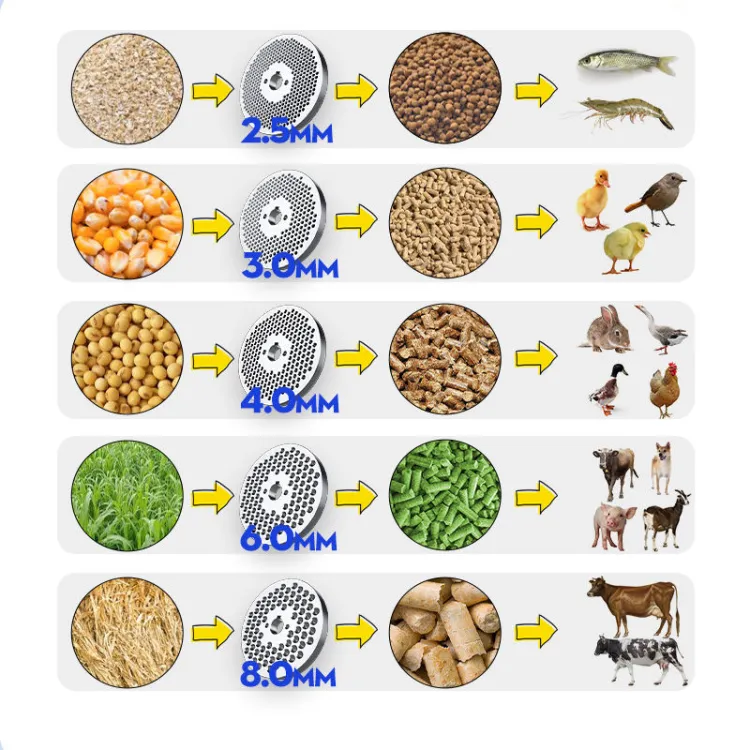 JINGLAI Pig Cattle Chicken Poultry Livestock Feed Pellet Making Machine 200kg/h for Animal Feed Pellet Machine Without Motor — image 5