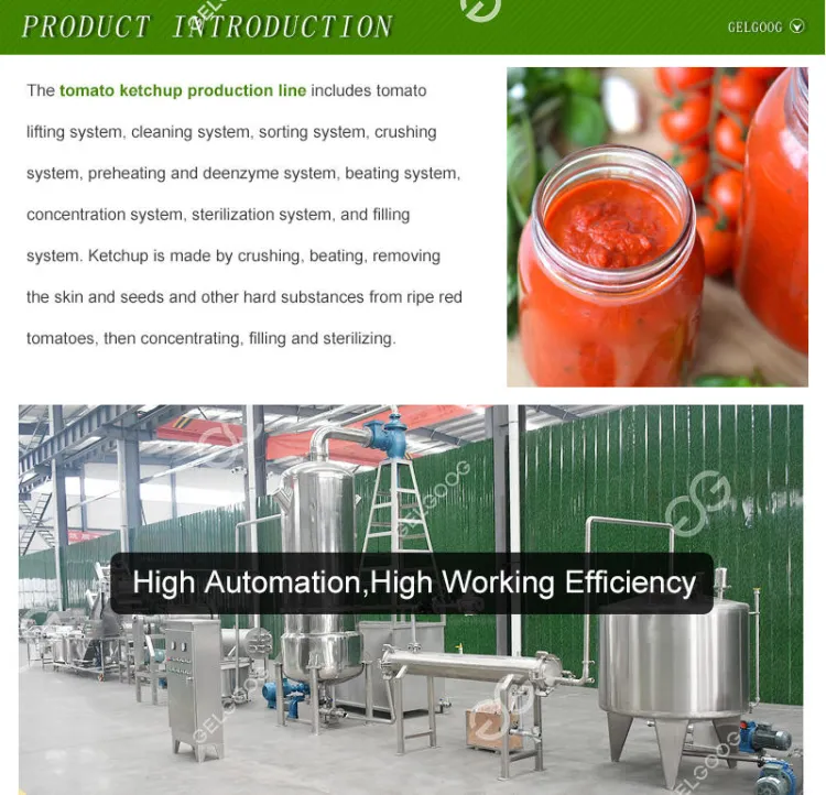 Concentrated Tomato Jam and Puree Manufacturing Product Tomato Paste Processing Line for an 500Kg Input — image 4