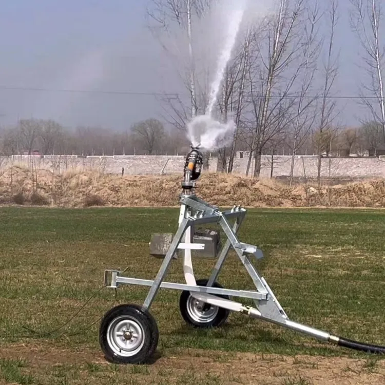 Portable Gearbox Pump PLC Hose Reel Irrigation System Remote Farm Locations Easy Setup Durable Sprinkler Remote Control 1 Year — image 5