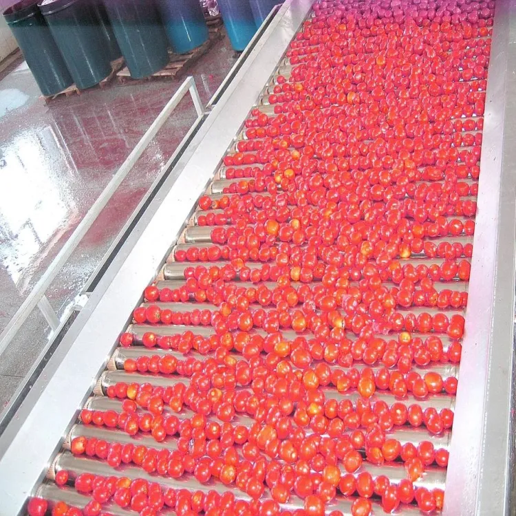 Tomato Concentrate Production Line Tomato Paste Production Machine Tomato Sauce Processing Equipment — image 1