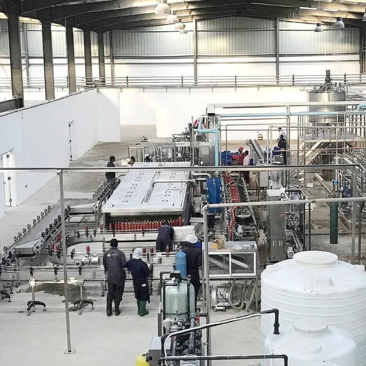 Tomato Concentrate Production Line Tomato Paste Production Machine Tomato Sauce Processing Equipment — image 3