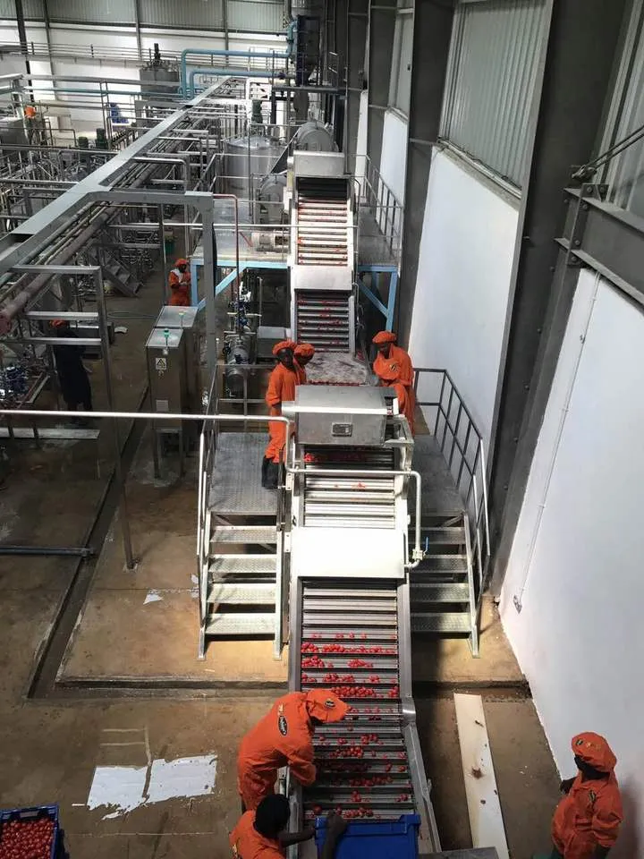 Tomato Concentrate Production Line Tomato Paste Production Machine Tomato Sauce Processing Equipment — image 5